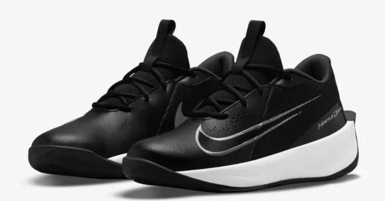 Nike Team Hustle Quick 3